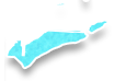 Coco Plum